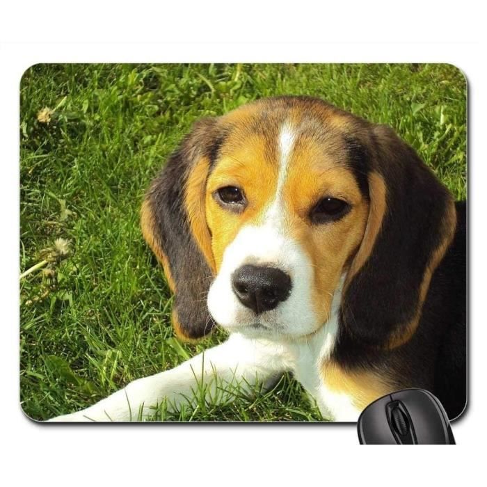 Tapis De Souris Chiot Beagle Chien Beagle Hound Canine De Race Pure