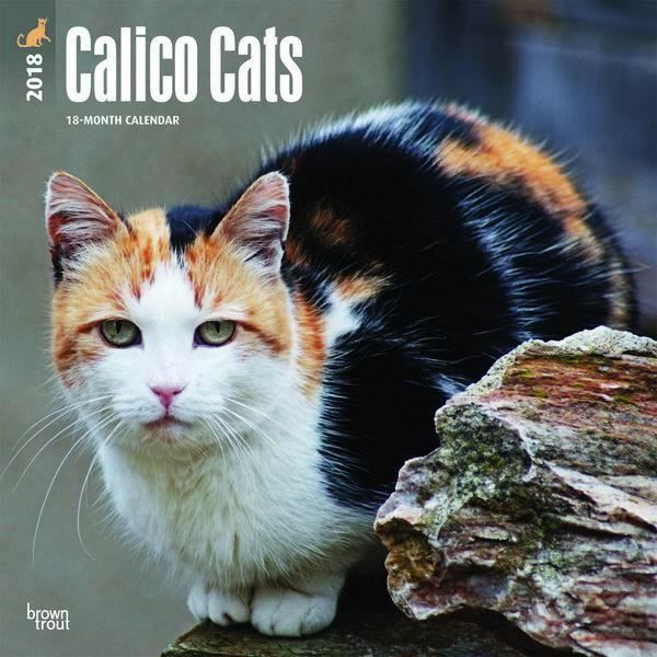 Calendrier Chat Calico 18 Achat Vente Calendrier Ephemeride Calendrier Chat Calico 18 Cdiscount Calendrier Chat Calico 18 Achat Vente Calendrier Ephemeride Calendrier Chat Calico 18 Cdiscount