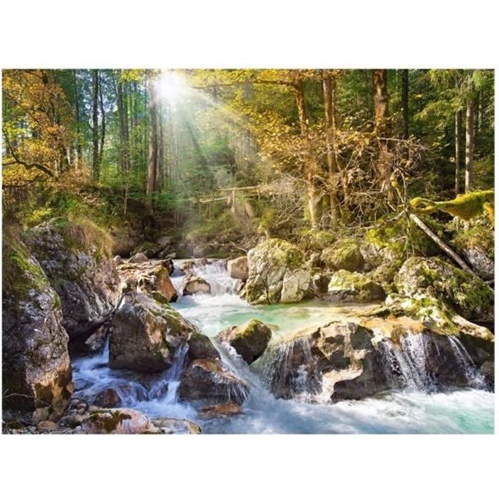 puzzle adulte paysage le torrent 2000 pieces - otto - collection nature et foret - 1500-2000 pièces - intérieur