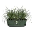ELHO - Pot de fleurs  -  Greenville Easy Balcony 52 - Leaf Green - Balcon - L 21.2 x W 52 x H 19.4 cm-2