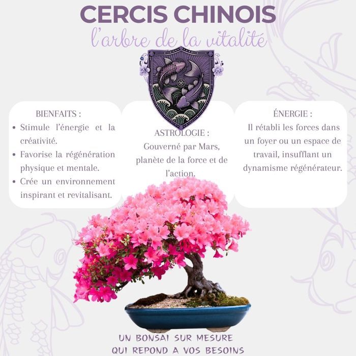 CULTIVEA Kit First Bonsai Cercis Chinensis  Prt  Pousser avec Graines &  Accessoires  Ide Cadeau Jardinage | Made In France - Cdiscount Jardin