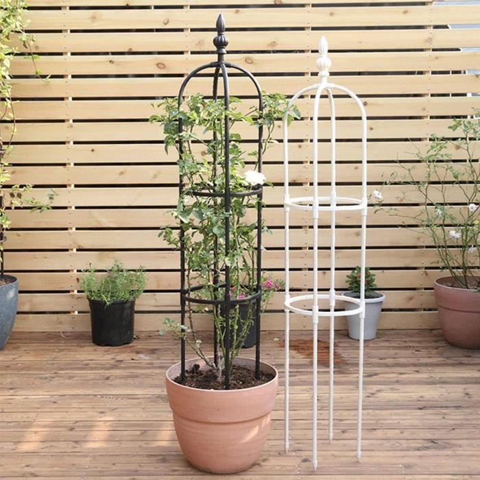 Lot de 2 treillis de jardin pour plantes grimpantes d'extérieur, treillis en métal avec revêtement en polyéthylène, support de plantes antirouille pour fleurs, légumes, vignes, cage à tomates pour