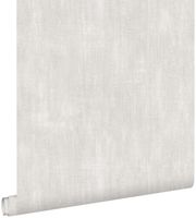 papier peint uni à effet pictural gris clair - 53 cm x 10,05 m - 127636