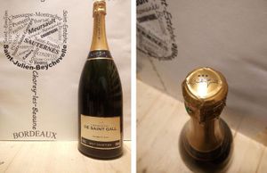 CHAMPAGNE Champagne De Saint Gall - Brut Tradition - Magnum 