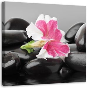 TABLEAU - TOILE Tableau sur toile, Fleur rose sur les pierres (P-1