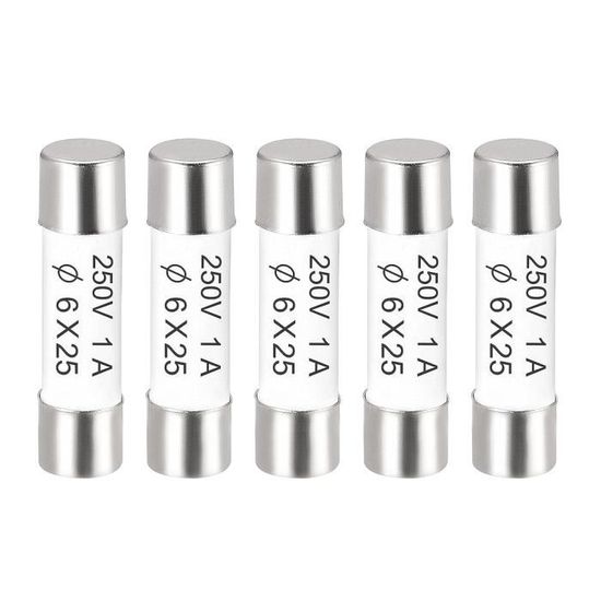 6 Fusibles Céramiques 1A 250V 5x20mm - À Soufflage Lent - Pour Audio, Alarme, Ampli