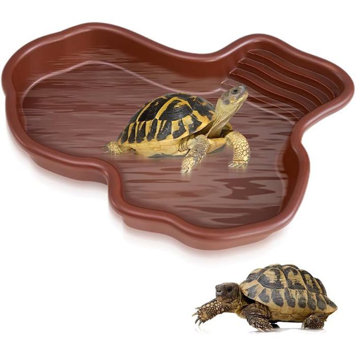 Bassin pour Reptiles Bol Eau pour Tortue Bol Eau et Nourriture pour Reptiles Bassin de Bain pour Reptiles PERCHOIR