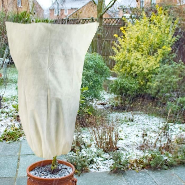 housse de protection pour plantes hiver 250 x 360 cm