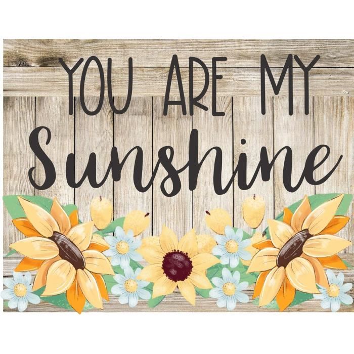 Plaque En Métal Rétro « You Are My Sunshine Barn » Décoration D