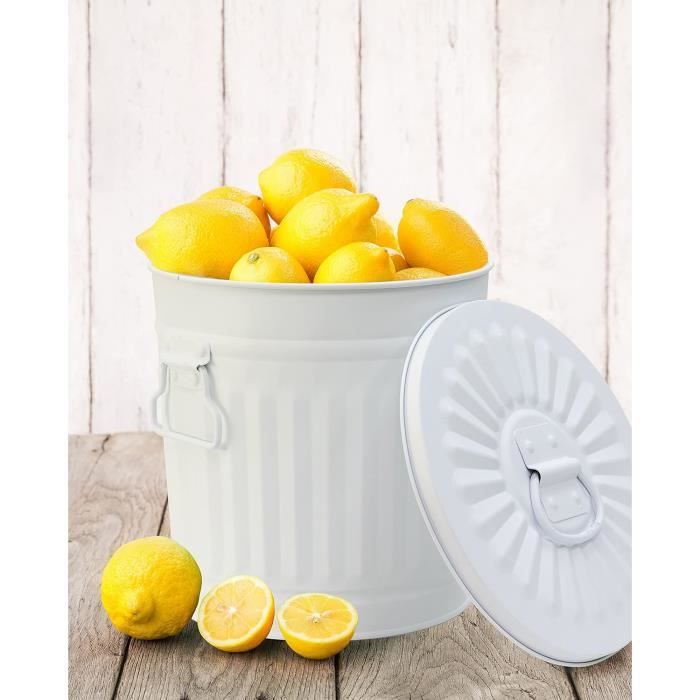 Poubelle En Métal Avec Couvercle - 8 L, Deux Poignées, Pour Jardin, Cuisine, Compost, Terrasse