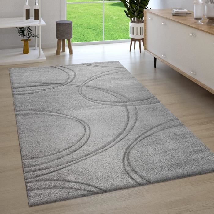 Tapis Salon Poil Ras