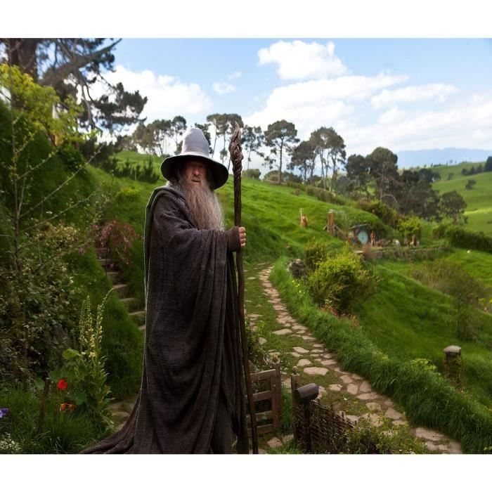 Poster Affiche Gandalf Dans La Comte Seigneur Des Anneaux(36x42cmB) Cdiscount Maison