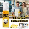 Nettoyant Mousse Foam Cleaner Nettoyant pour Sièges De Voiture Multipurpose Cleaner Mousse (2 Pièces, 100 ML Chacune)-1