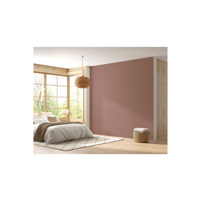 BARBOUILLE - Peinture Acrylique Caravanes - Aspect Velours