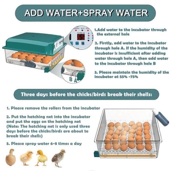 Chalixion Couveuse Oeuf Automatique Avec Contrôle De Température