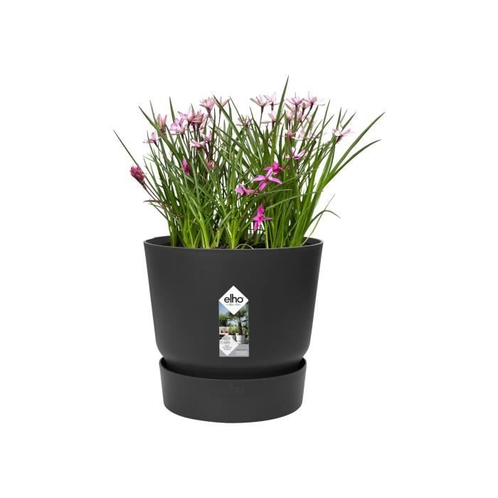 Fox & Fern Pot de Fleur Interieur, Pot pour Plantes en Polystone, Cache Pot  Plante Interieur et Extérieur Résistant UV et Gel, Pot Fleur Exterieur