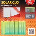 Solar Glo 80w - Exo Terra-4