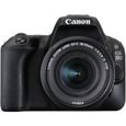 Canon EOS 200D Noir + EF-S 18-55mm f/4-5,6 IS STM-0