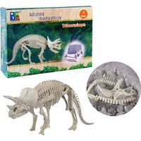 Déterrer Un fossile Dinosaure Kit de fouille Archéologique - Tricératops