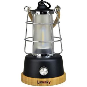 LANTERNE FANTAISIE Lanterne sans fil - LUMISKY - WILDY - H23 cm - Ans