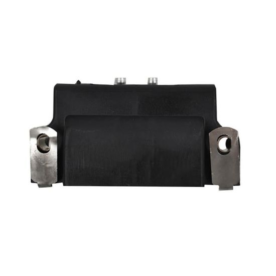 Bobine D'allumage Double Fil Pour Moteur Hors-bord Johnson/OMC - Modèles 2 à 175 CV (années 1987-1999)