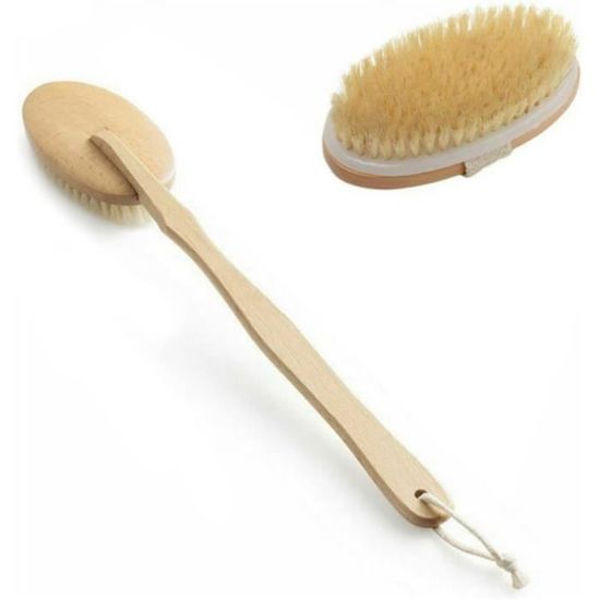 Brosse Pour Chevaux Showman Super Pratique, Poils Moyens Et Manche Solide En Plastique