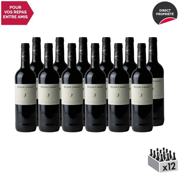Luberon Petite Cavale Rouge Rouge 2018 - Lot de 12x75cl - Domaine La Cavale - Vin AOC Rouge de la Vallée du Rhône - Cépages