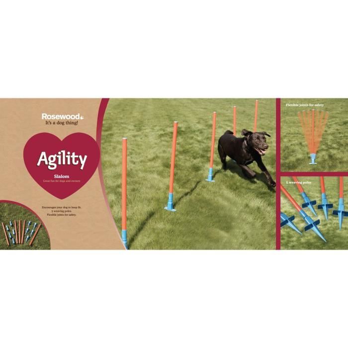ROSEWOOD Piquets slalom d'agilité - Pour chien