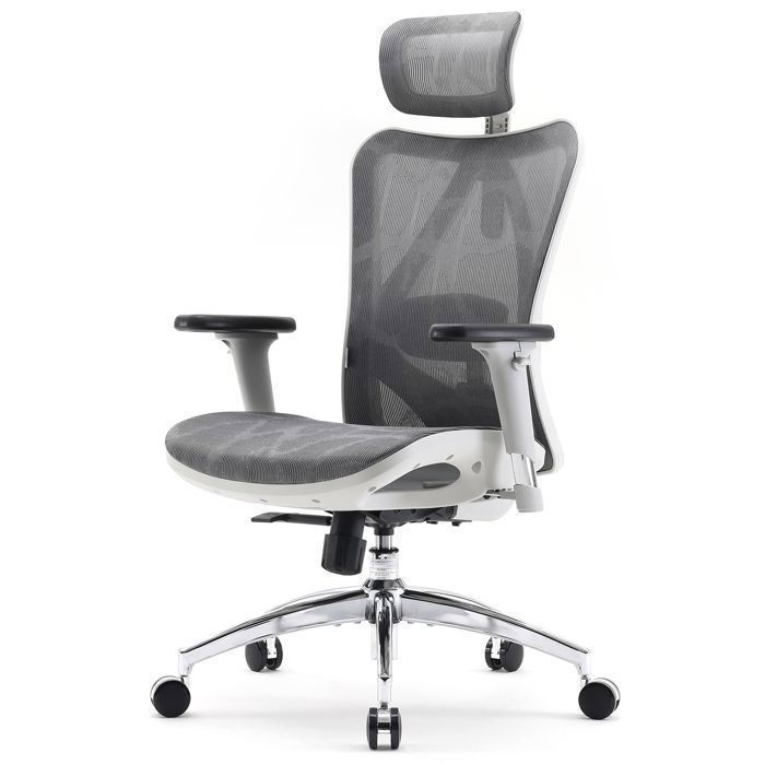 SIHOO Chaise de bureau chaise de bureau ergonomique fauteuil à dossier haut respirant avec accoudoirs 3D et soutien lombaire
