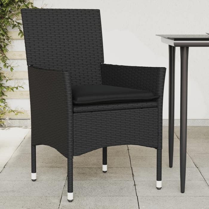 vidaXL Lot de 2 Chaises de Jardin avec Coussins Sièges avec Accoudoirs Fauteuils avec Dossier Meubles de Terrasse 368109