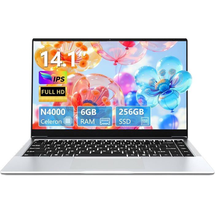 rumlawn Celeron N4000 Laptop 14.1 Inch Laptop Graphics Card UHD 600 6GB RAM 256GB SSD (Expand to 1TB) Laptop Win115000mAhTF C