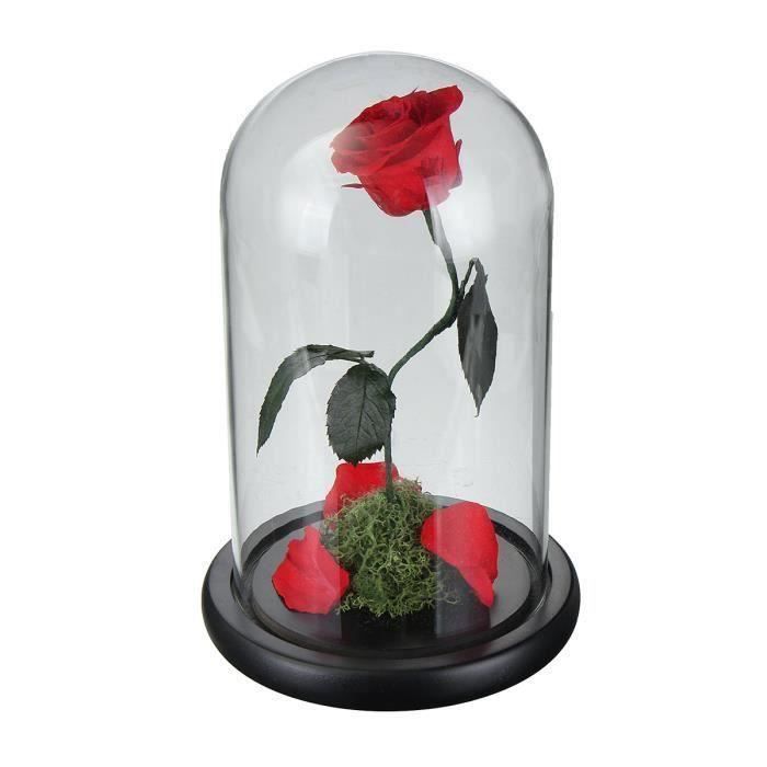 Naturel Frais Fleurs Roses Amour éternel Conservé Réel Couvercle Verre  +Lumière LED Bo54538 - Cdiscount Maison