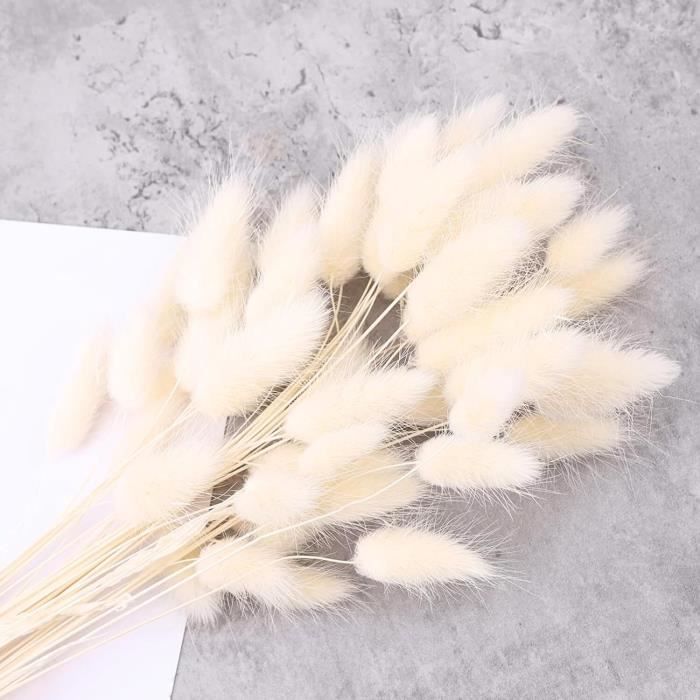 Bouquet de vraies fleurs séchées, 60 queues de lapin, 44 cm, lagurus, pampas sechees decoration