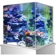 MonsterShop – Aquarium Blanc de 30x30 litres, Kits et Accessoires de Démarrage, Graviers Bleu, Meuble Blanc, d’Une Dimension To (7)-1