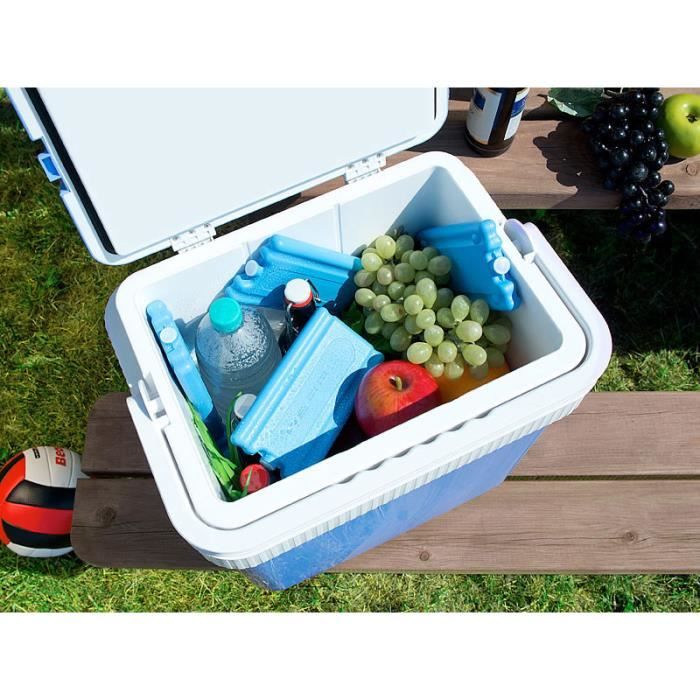 Lot De 4 Accumulateurs De Froid - 2 XL 350cc + 2 L 200cc Pour Glacières Et Sacs Isothermes