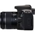 Canon EOS 200D Noir + EF-S 18-55mm f/4-5,6 IS STM-2