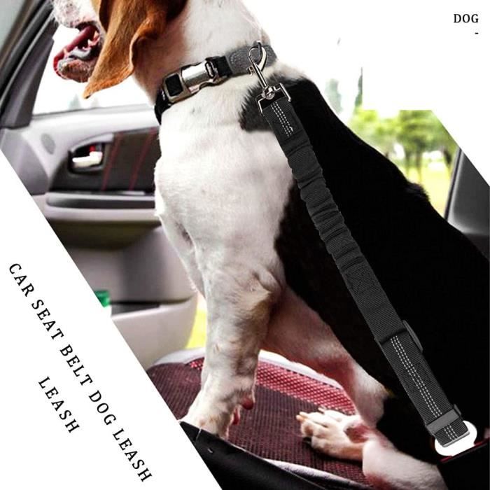 Ceinture Chien Voiture-2 Pièces Ceinture Securite Chien Voiture Avec Absorption Des Chocs Et Sac De Rangement-Réglable 50-88Cm Cei - Animalerie