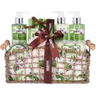 HENRY BRUBAKER BRUBAKER Cosmetics - Coffret de bain & douche - Aloe vera - 13 Pièces - Panier rétro décoratif - Idée cadeau