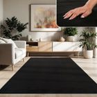 Paco Home Tapis De Salon Poils Ras Lavable Monochrome Style Moderne Noir Noir 120x170 cm