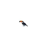 Autocollant Toucan oiseau sticker 4 Taille : 8 cm