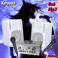 KARAOKE AMPLI USB  DJ 2 ENCEINTES  PACK 2 MICROS