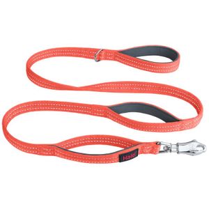 Laisse Halti BRIG Pour Grand Chien - 1.5m, Clip Ultra-solide, Poignées Rembourrées, Code Couleur