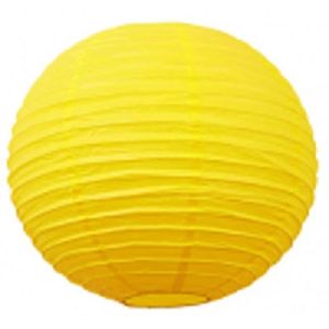 Beau lampion fleur nettoie l/'air