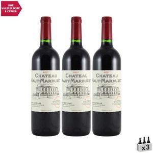 VIN ROUGE Château Haut-Marbuzet Rouge 2017 - Lot de 3x75cl -