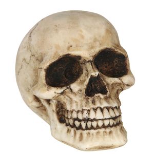 Décoration d'Halloween Crâne/Tête de Mort en résine doré or 7 x 10.5 x 9  cm (x1) REF/8075 - Cdiscount Maison