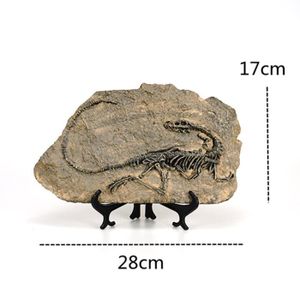 FIGURINE - PERSONNAGE Dinosaure 2 - Figurines de dinosaure fossile en résine, Statue'animal rétro, Miniature, décoration'intérieur