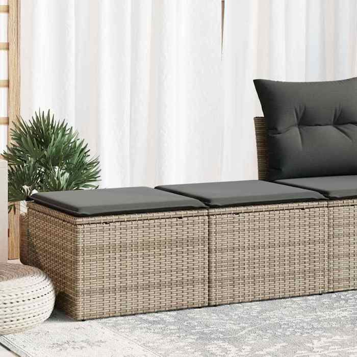 vidaXL Salon de jardin 2 pcs avec coussins gris résine tressée acacia ensemble de canapés dextérieur salon de jardin 3328663