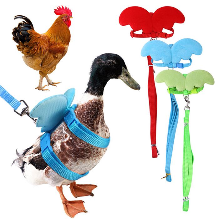 Meilleurs prix pour 3 Pieces Pet Cole Duck Outside Walking Harness Leash Adjustable Outdoor Training Traction Rope for Chicken Goose Hen