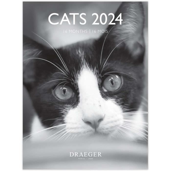 Calendrier Mural 2026 Chats Lisants - Design Mignon Mensuel, Papier Qualité (21x21 Cm)