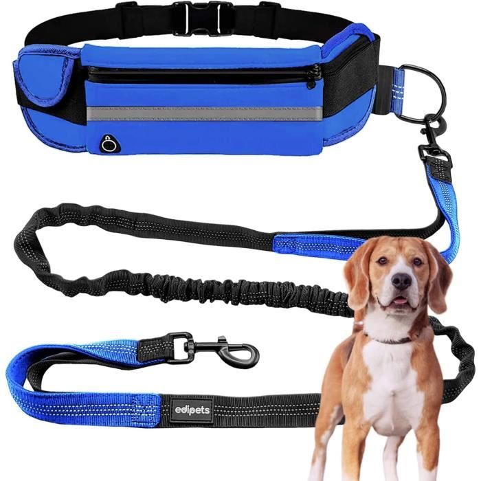 Ceinture et laisse canicross online